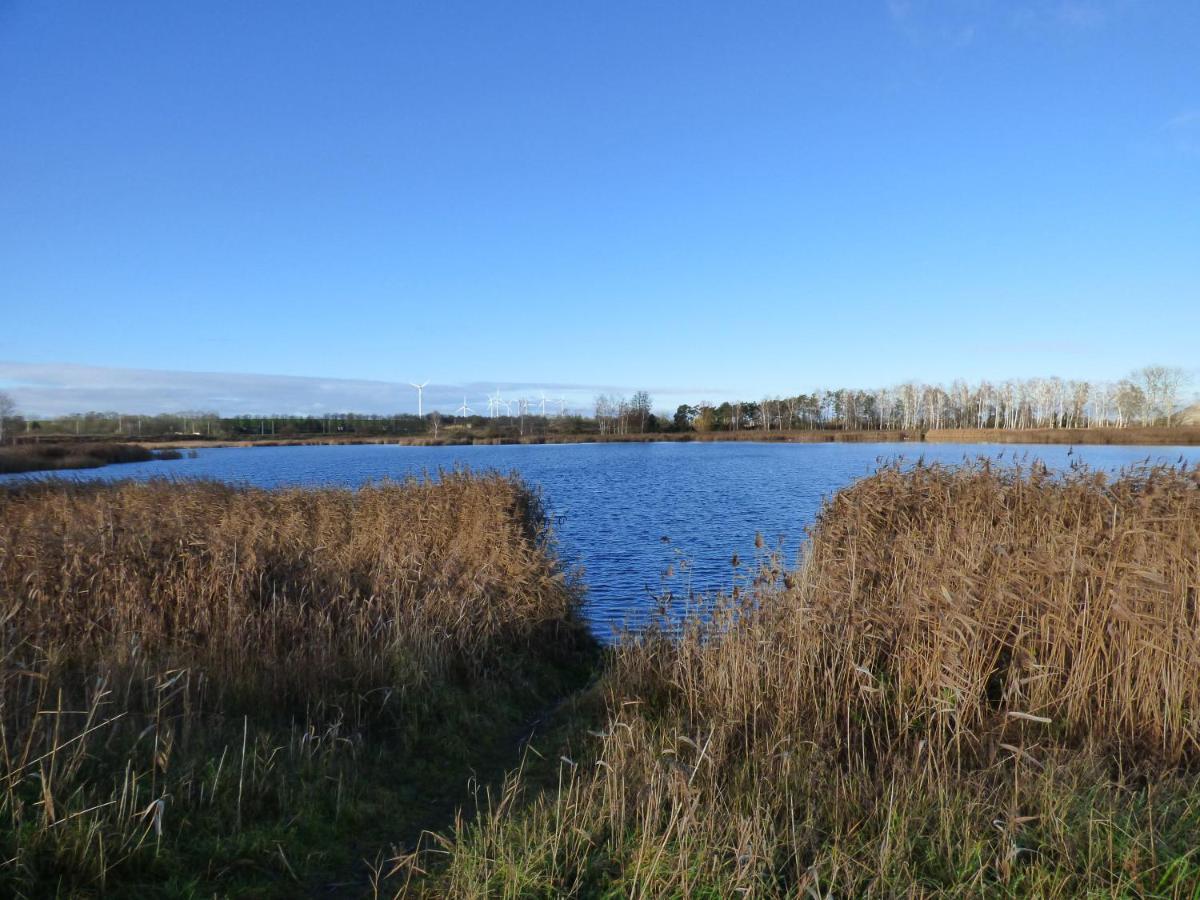 Uckermark "Ferienwohnung Sommerfugl " Passow  Екстер'єр фото