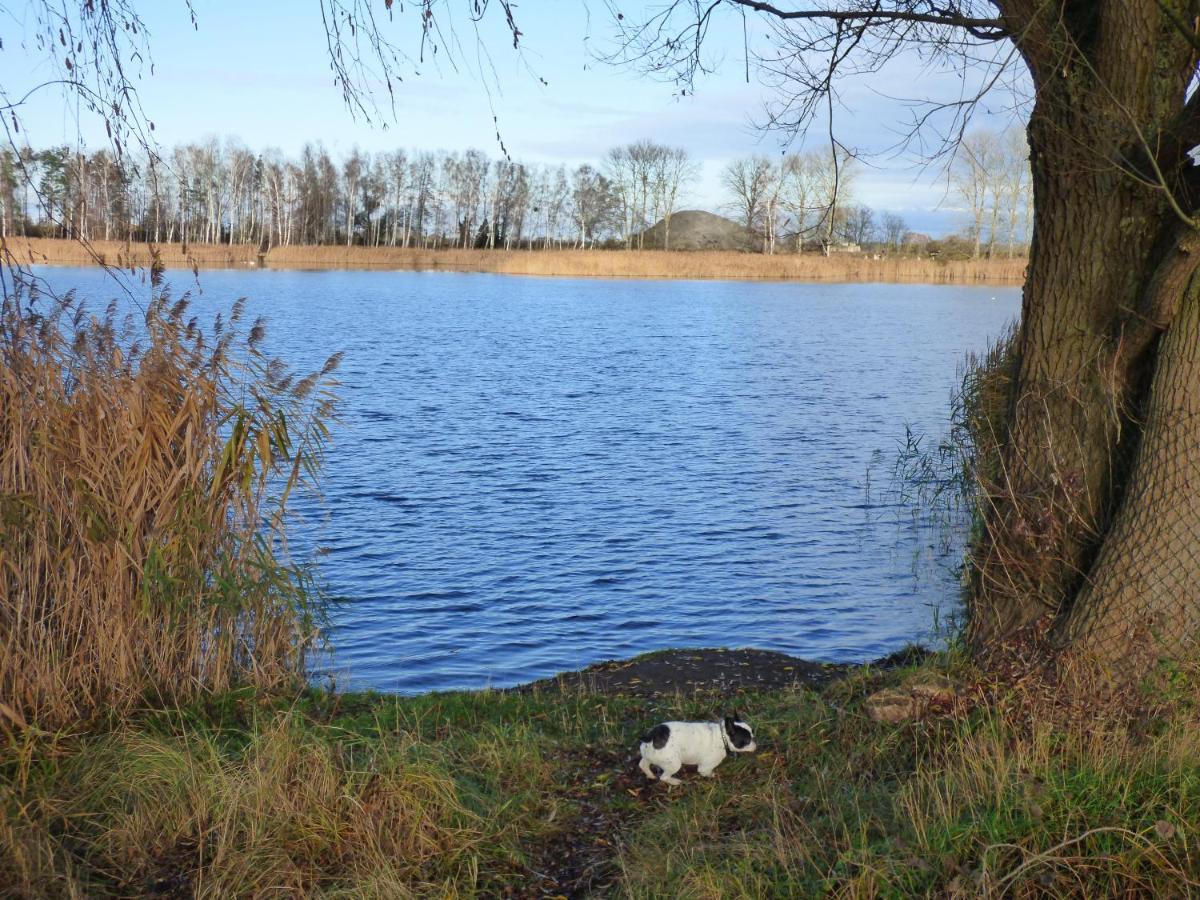 Uckermark "Ferienwohnung Sommerfugl " Passow  Екстер'єр фото