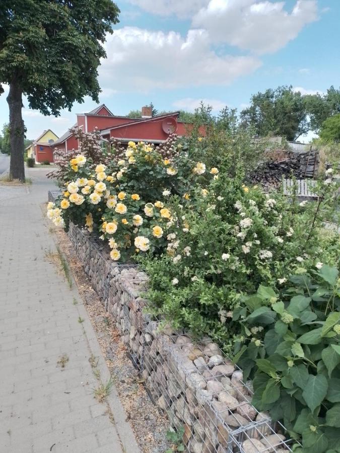 Uckermark "Ferienwohnung Sommerfugl " Passow  Екстер'єр фото